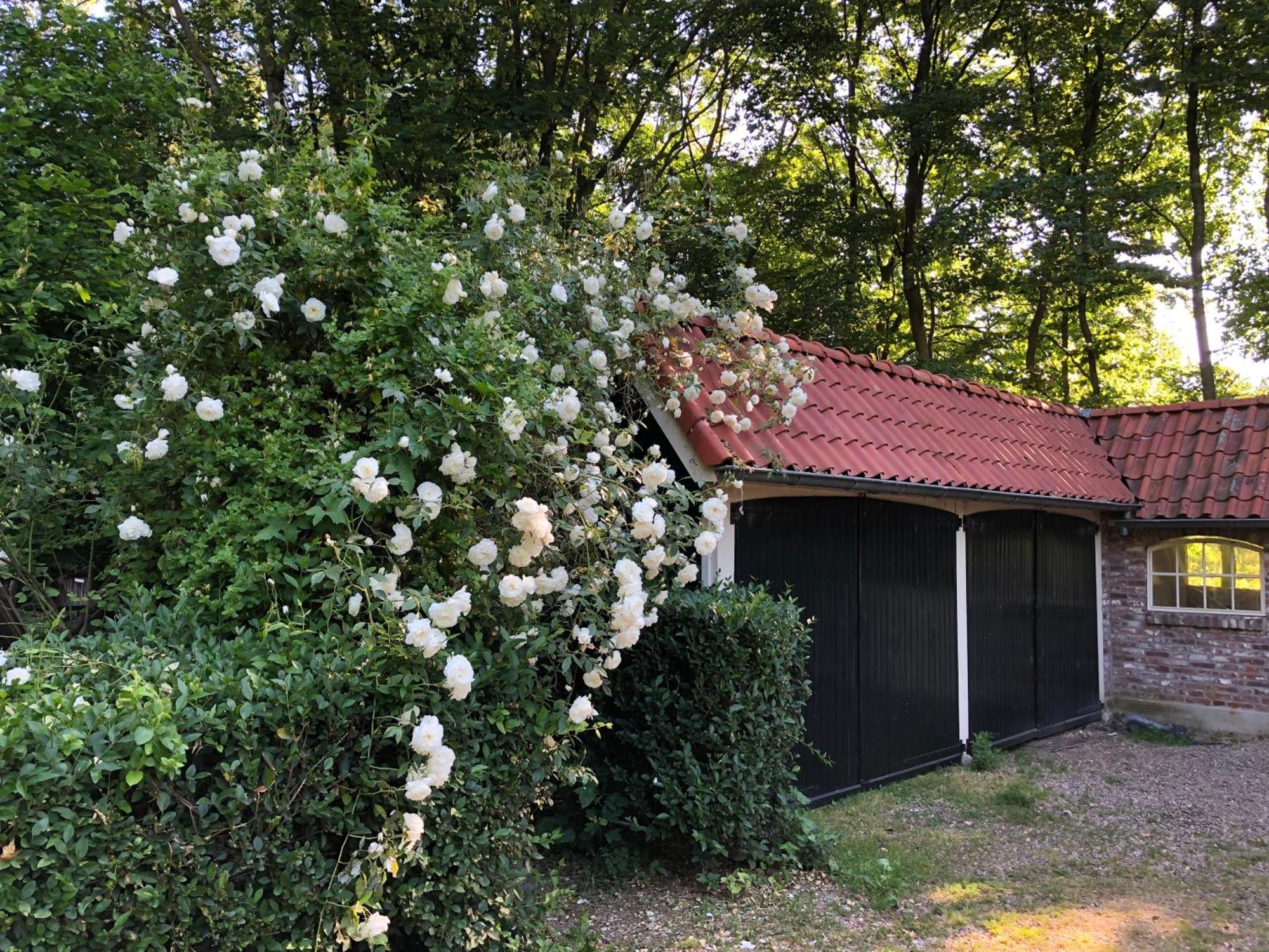 De Zeilende Kraay Hotel Katwijk Bagian luar foto